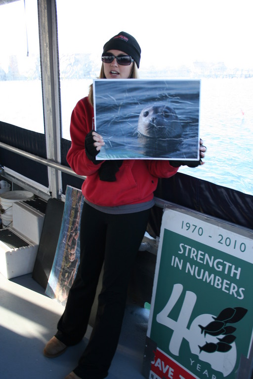 Save the Bay's Education Specialist Jen Kelly educates the public on seals in Narragansett Bay