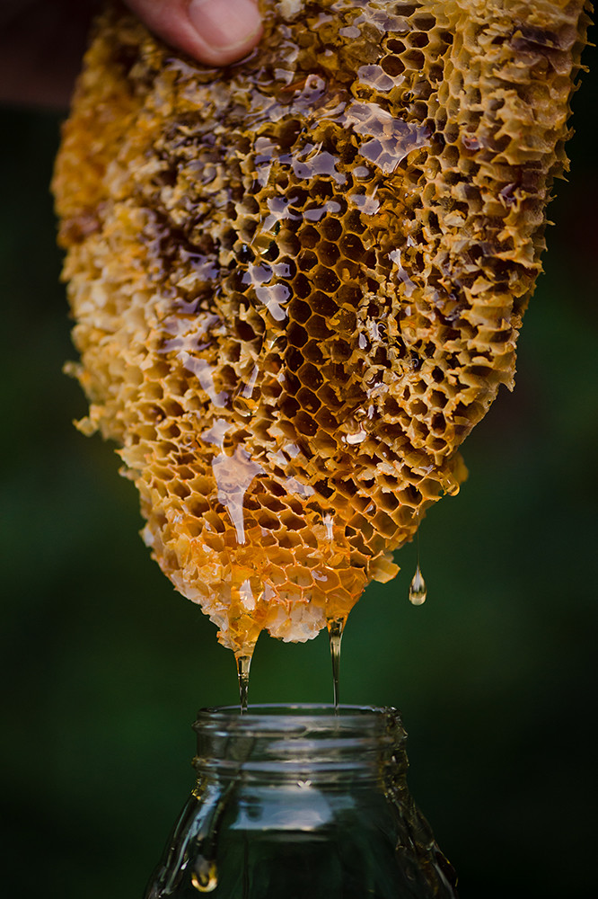 Seasonal honey made from two dozen hives at South County Honey.