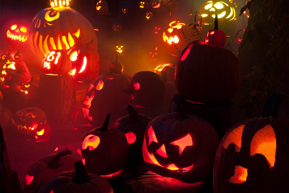 See over 5,000 carved pumpkins at Roger Williams Park Zoo's annual Jack-O-Lantern Spectacular all through October