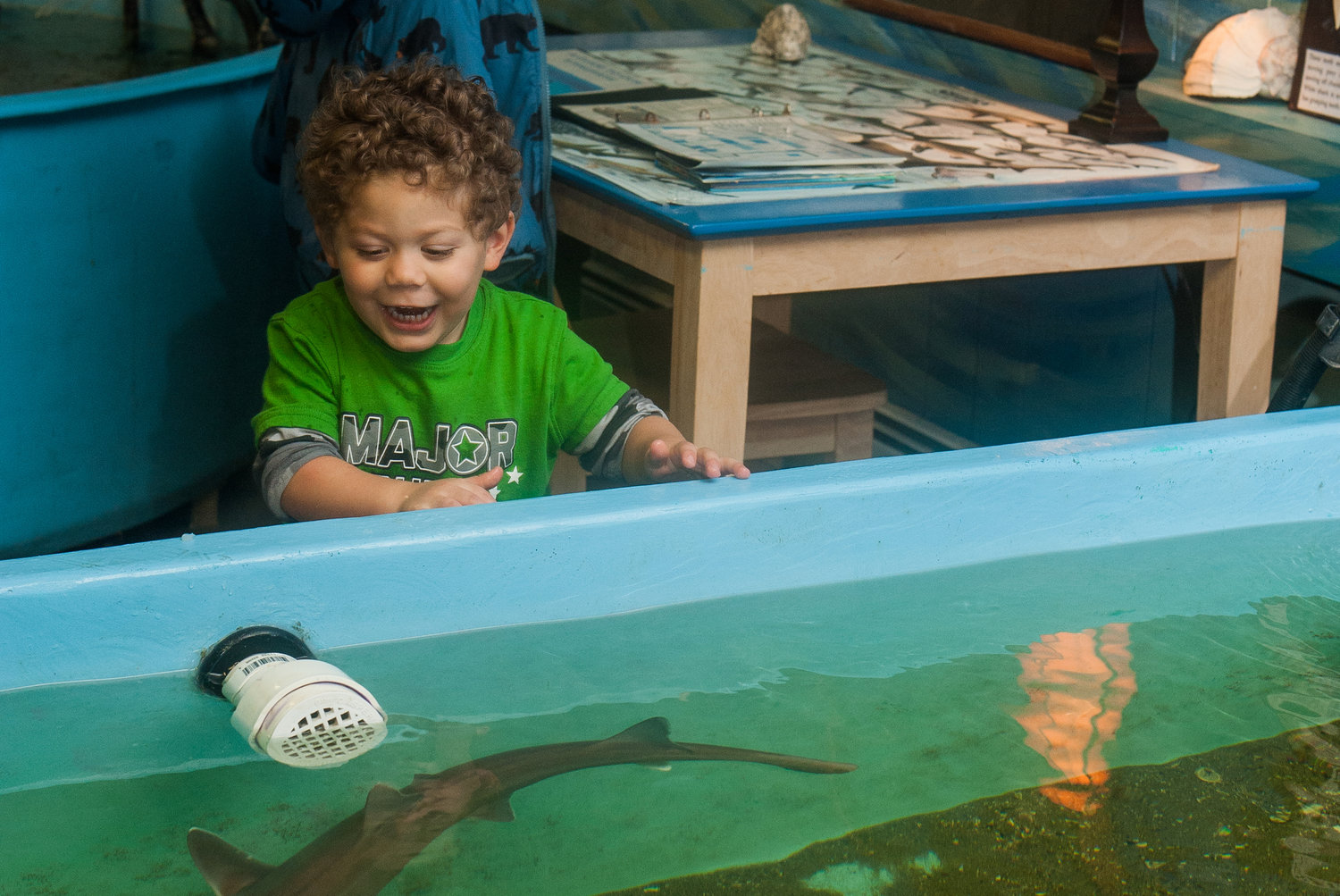Both kids and adults can delight in the touch tank at Biomes