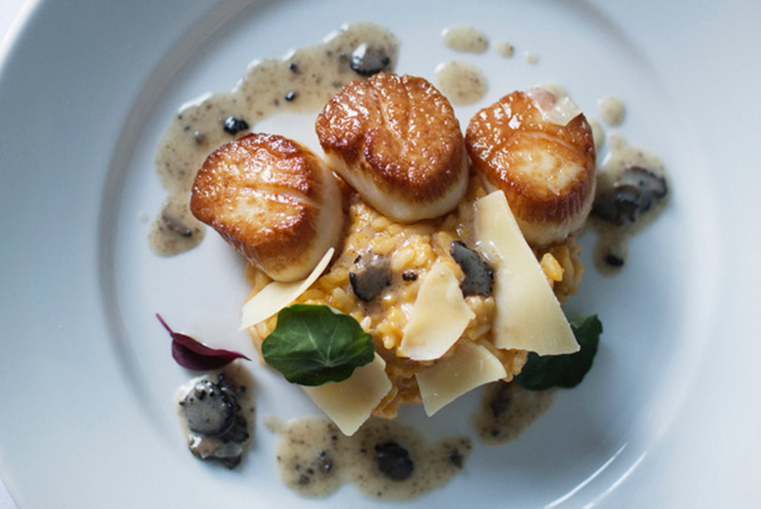 Chef Roland's Seasonal Scallop dish features pan-crusted scallops with butternut risotto and a black truffle pan sauce