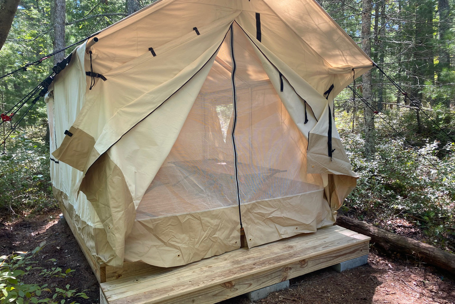 Wooden platforms keep tents off the ground and glampers dry and steady