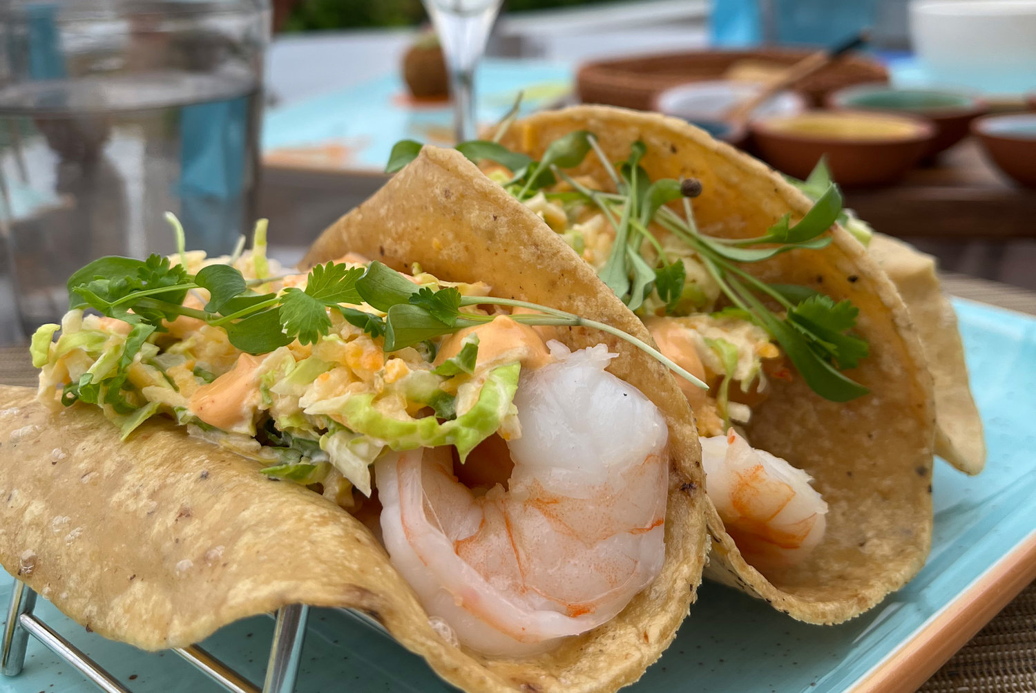 Fresh and flavorful shrimp tacos on the Seaside Terrace