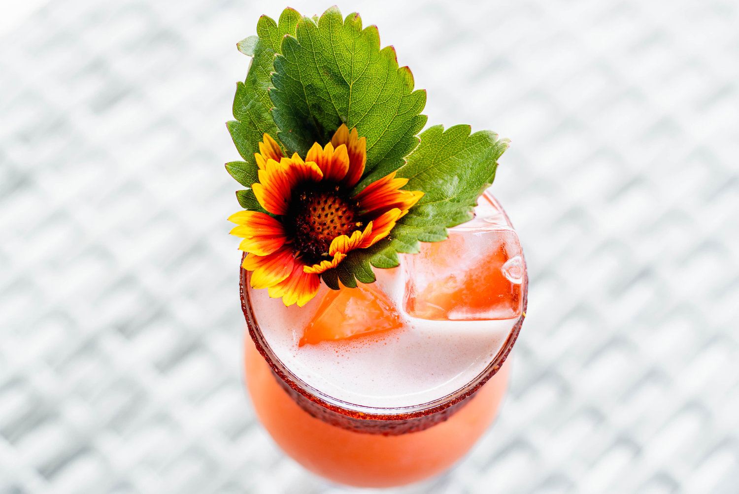 A seasonal cocktail, Down to Earth features elderflower, guava, watermelon, and more