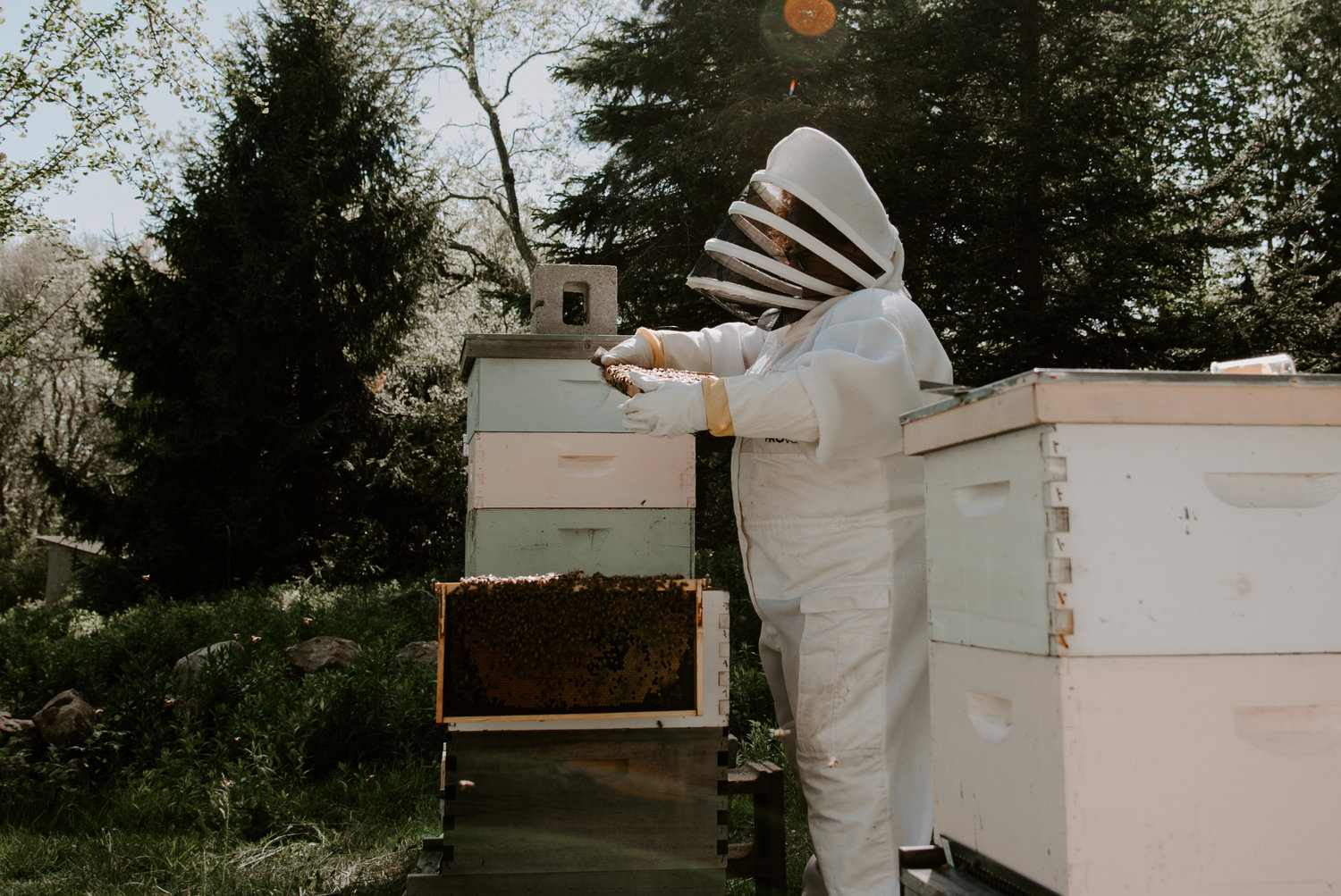 bee suits are integral to keeping safe while collecting
