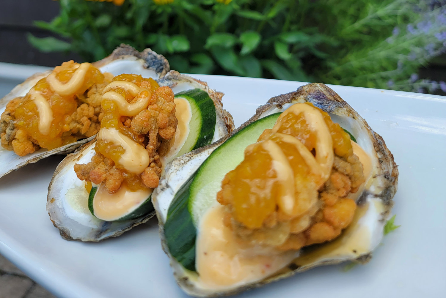 Fried oysters with orange marmalade and honey chili aioli