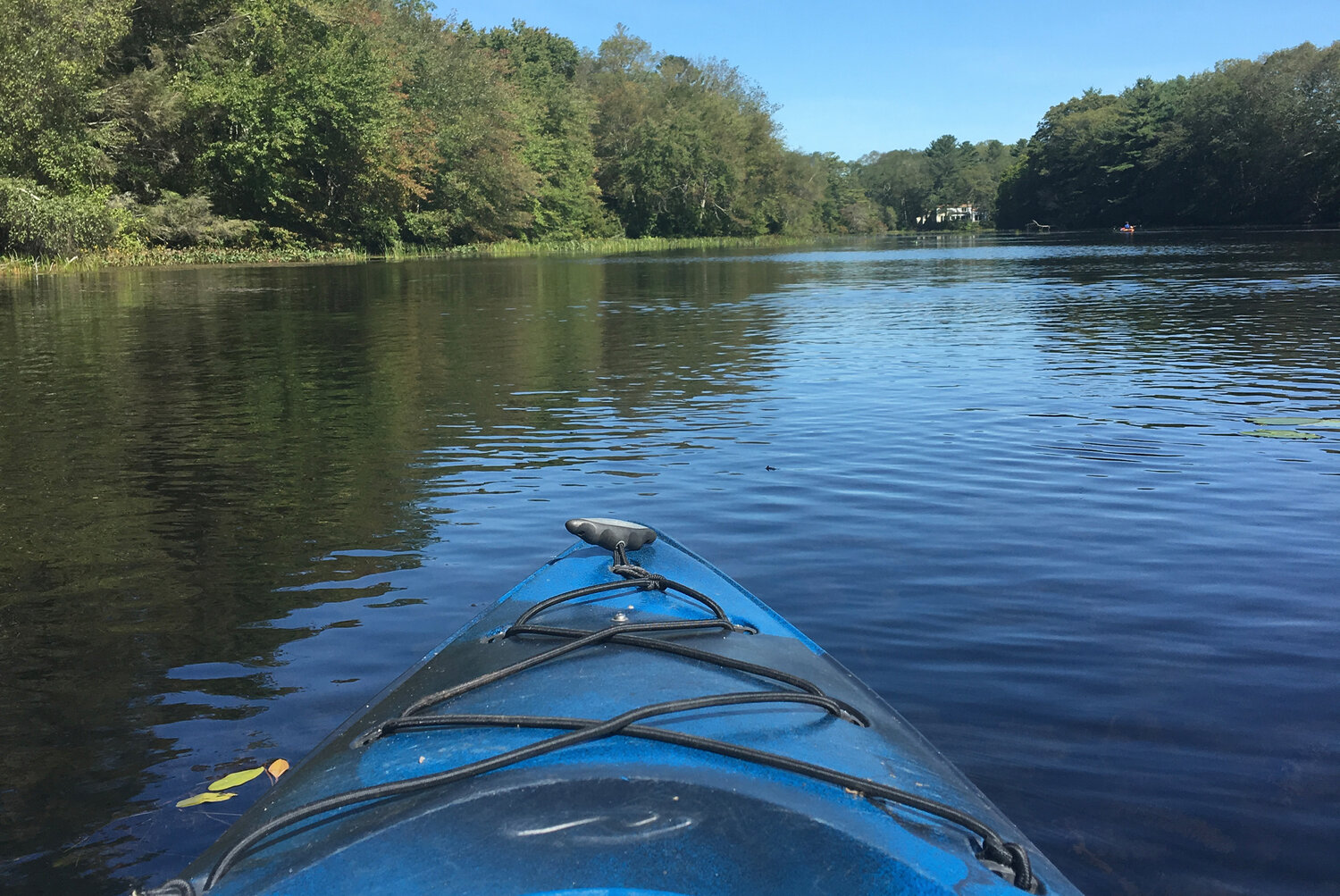 A serene paddle experience along Queen's River